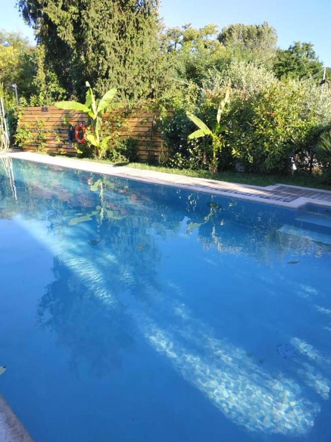 Villa Paradiso Del Garda Vista-Verde Bardolino Exterior foto